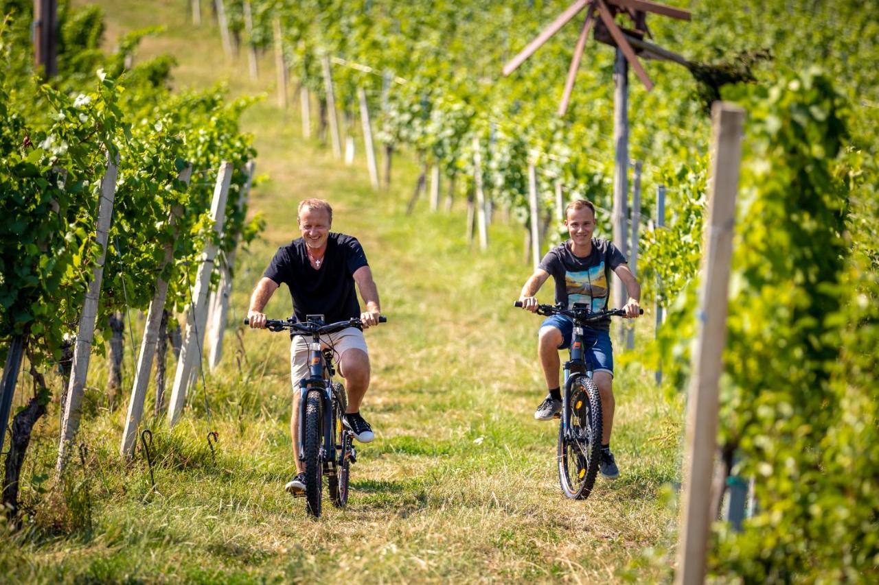 Weingut-Gaestehaus Birnstingl Gamlitz Luaran gambar