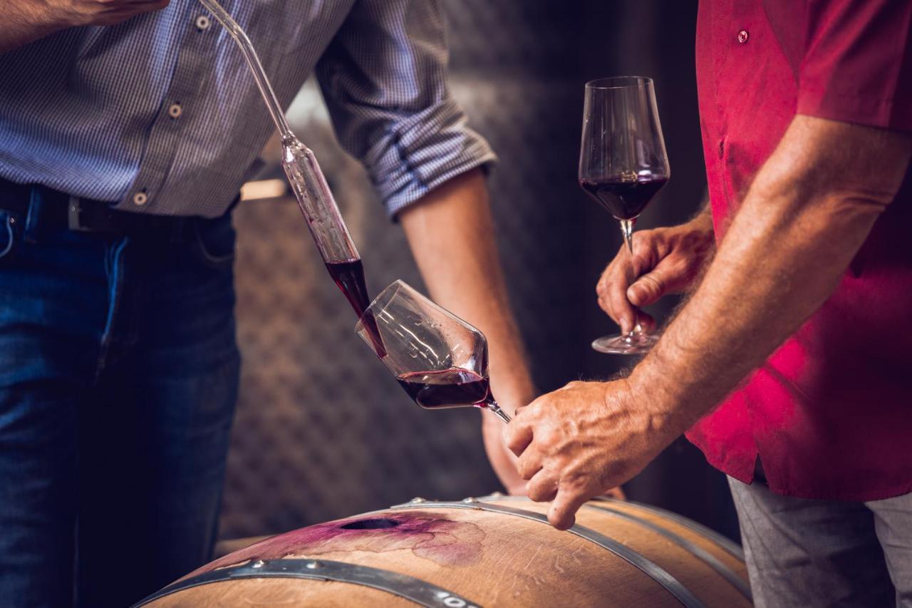 Weingut-Gaestehaus Birnstingl Gamlitz Luaran gambar