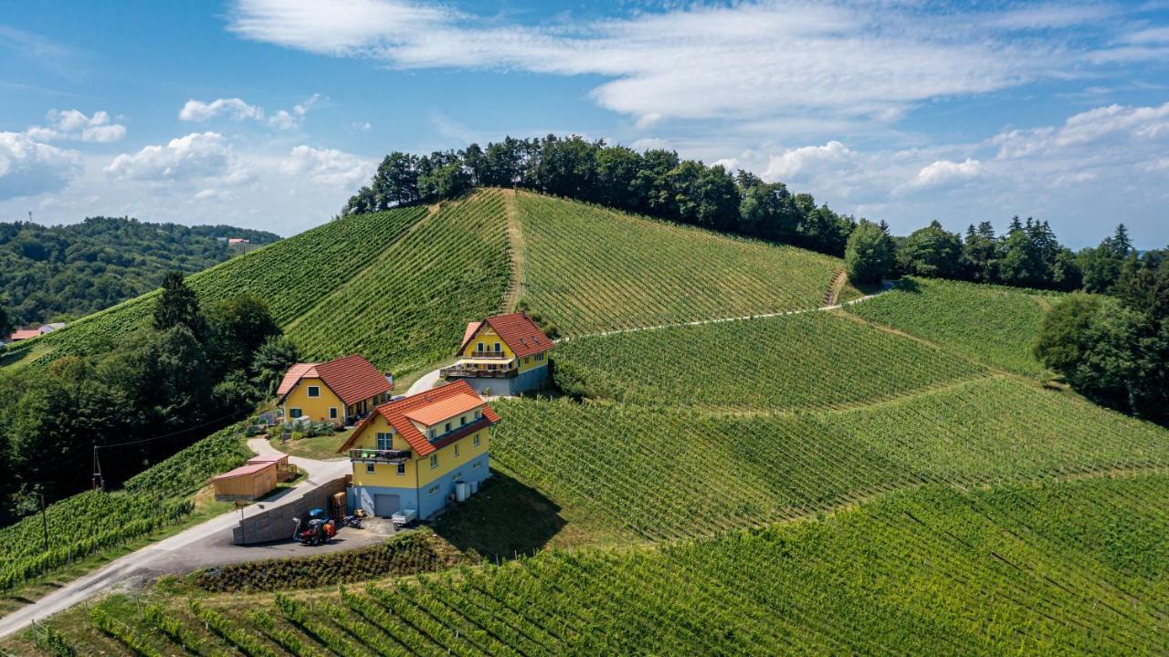 Weingut-Gaestehaus Birnstingl Gamlitz Luaran gambar