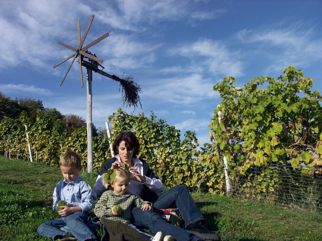 Weingut-Gaestehaus Birnstingl Gamlitz Luaran gambar